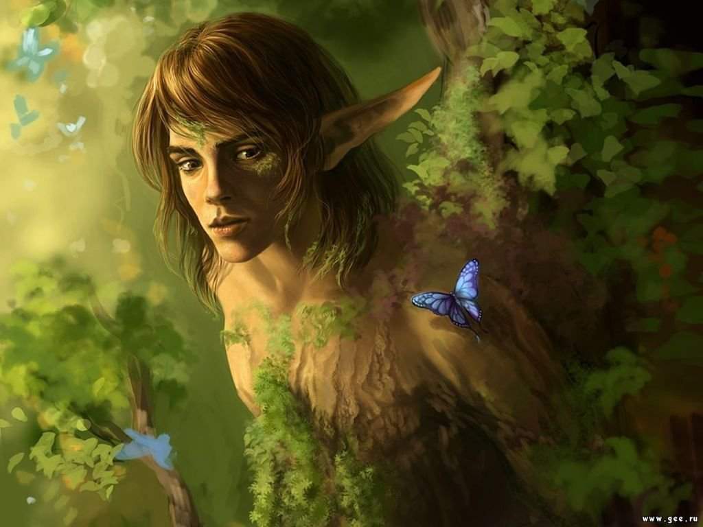 Fairies — the Bright Children of the Dark Mother