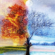 The Turning Wheel. The World Wheel