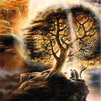 The Experience of Peoples