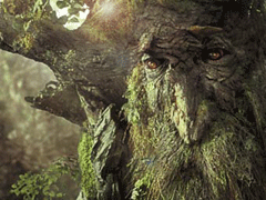 The Awakening of Power