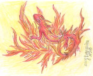 The Interworld and Its Inhabitants