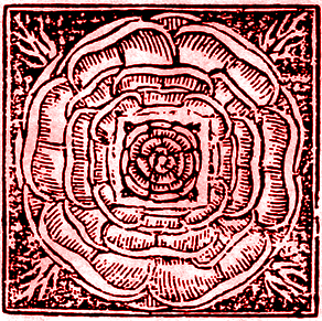 the_rose Abstract Sum