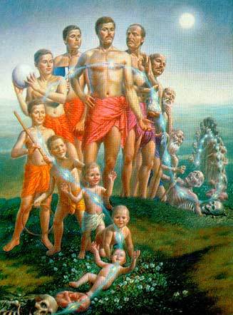 reincarnation reincarnation