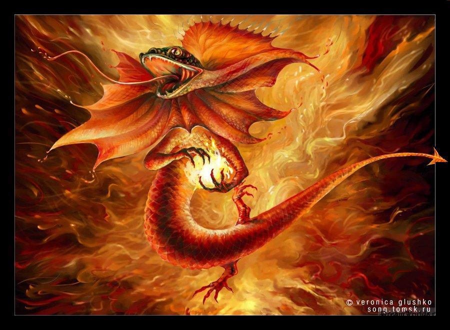 salamander salamander