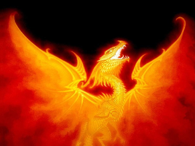 firedragon firedragon