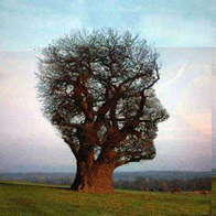 Physiological Egregore — the Power of Blood