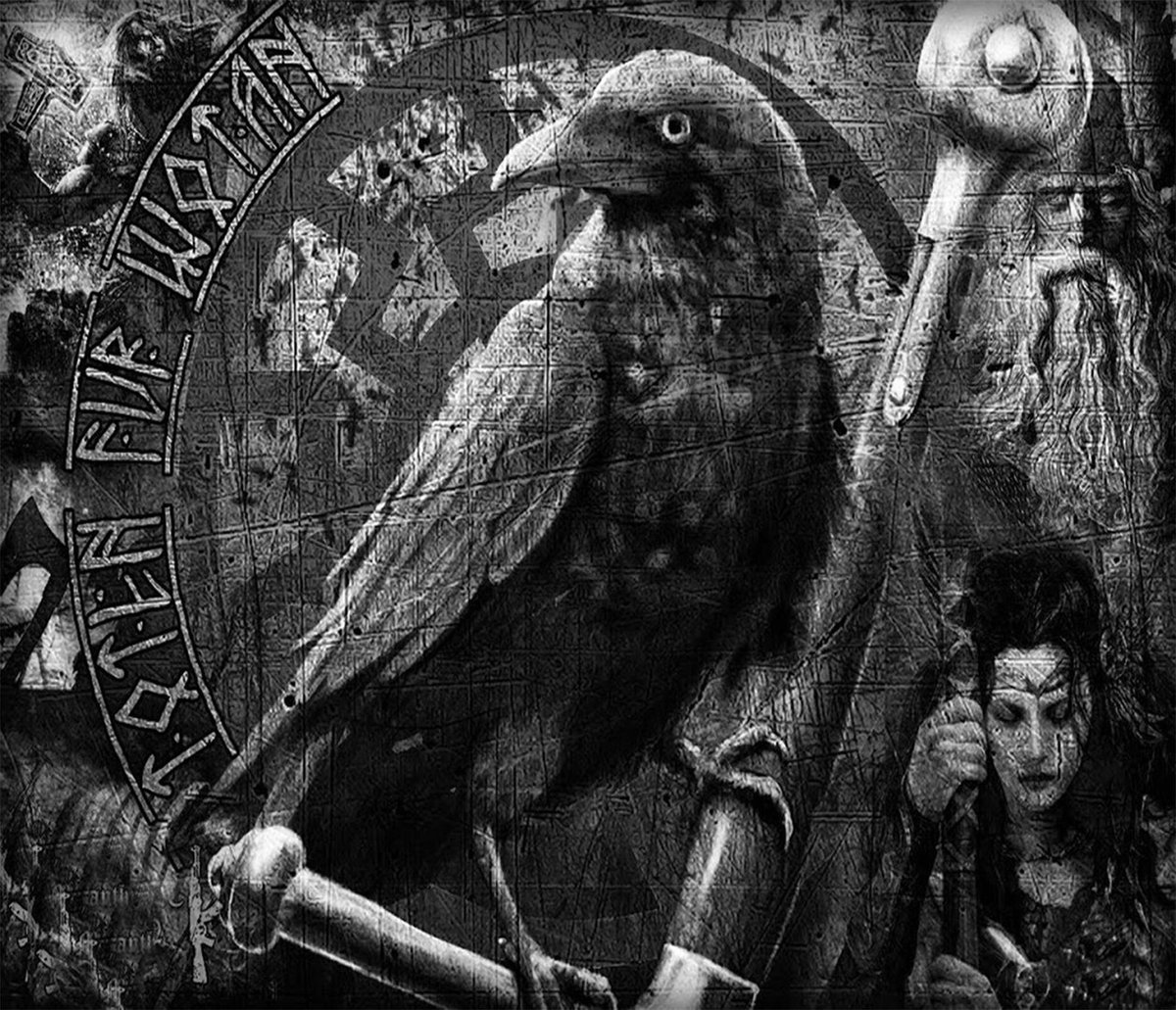 Vortices and Vectors