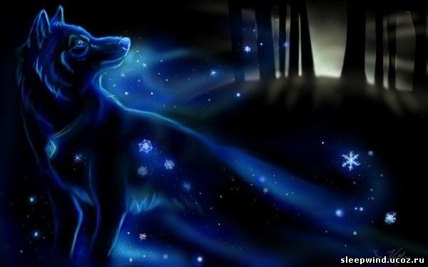 wolk_7 Forms of the Magus