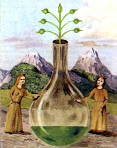 alhimia Remelting of the Soul