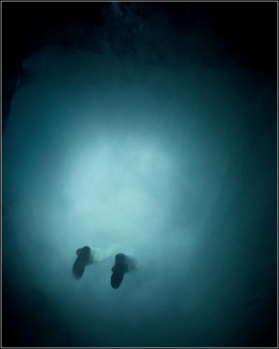 neizv4 Two Steps into the Dark