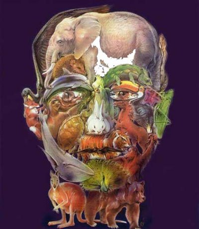 1341943968_animal_head_t The Acquisition of a Soul