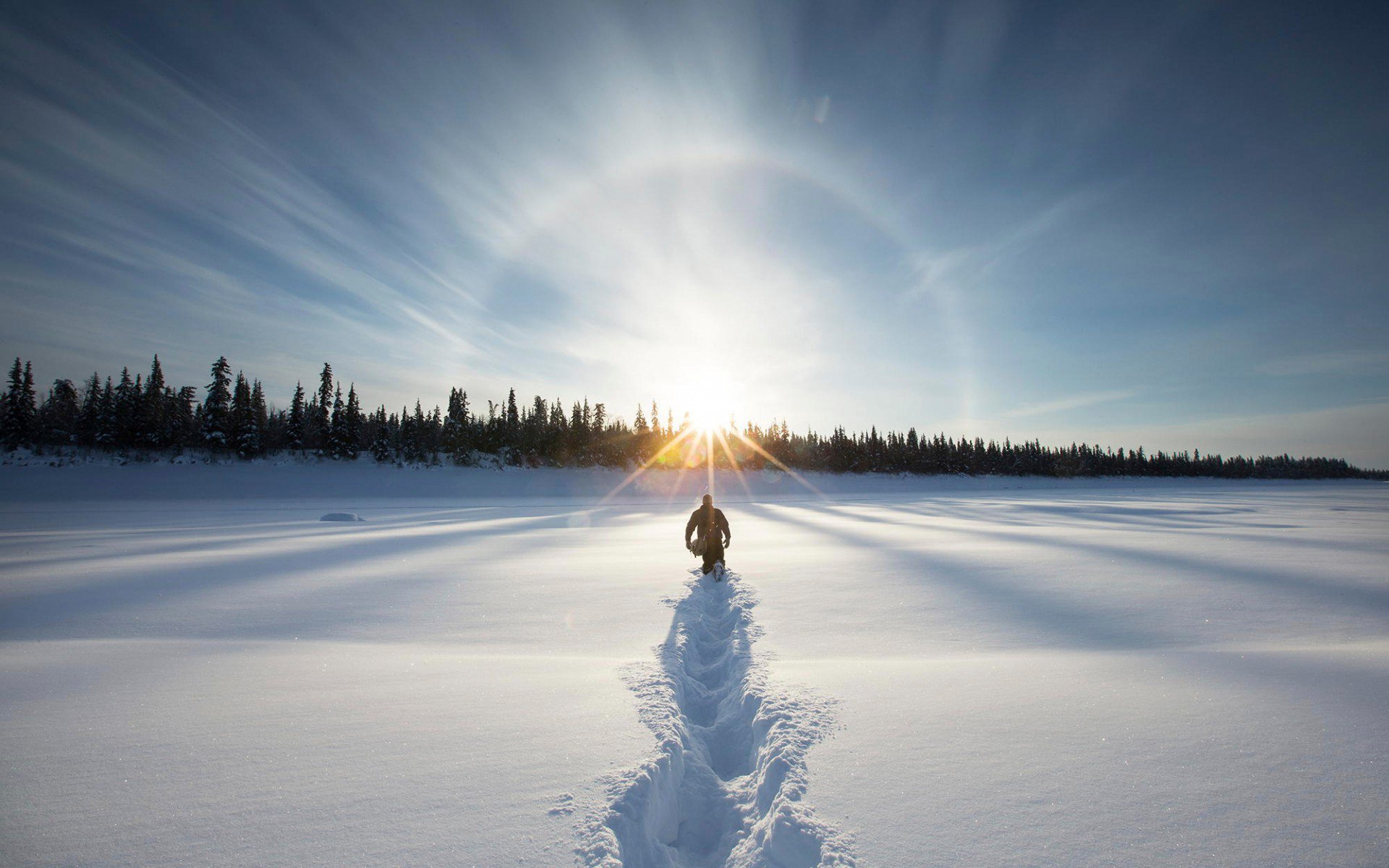 Prospects of the Magus