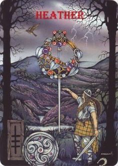 Akme Vyaz – Fruits and Results