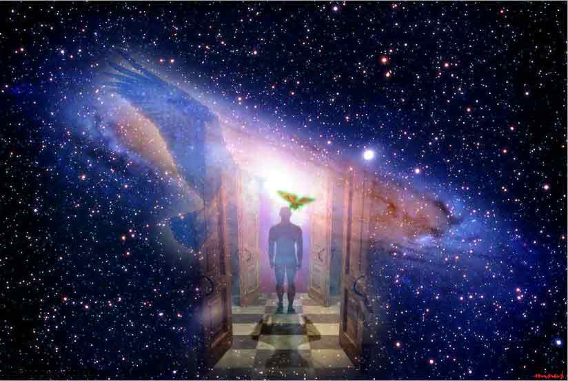 Principles, Laws and Imprints