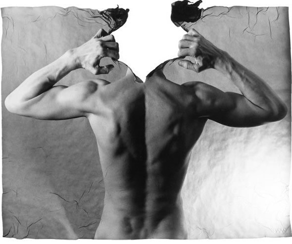 Principles, Laws and Imprints