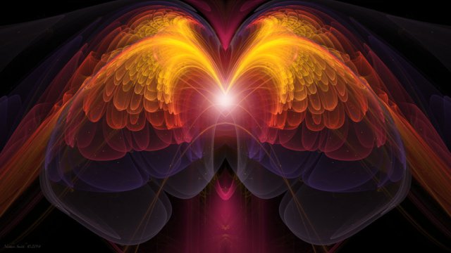 The Body of Feelings