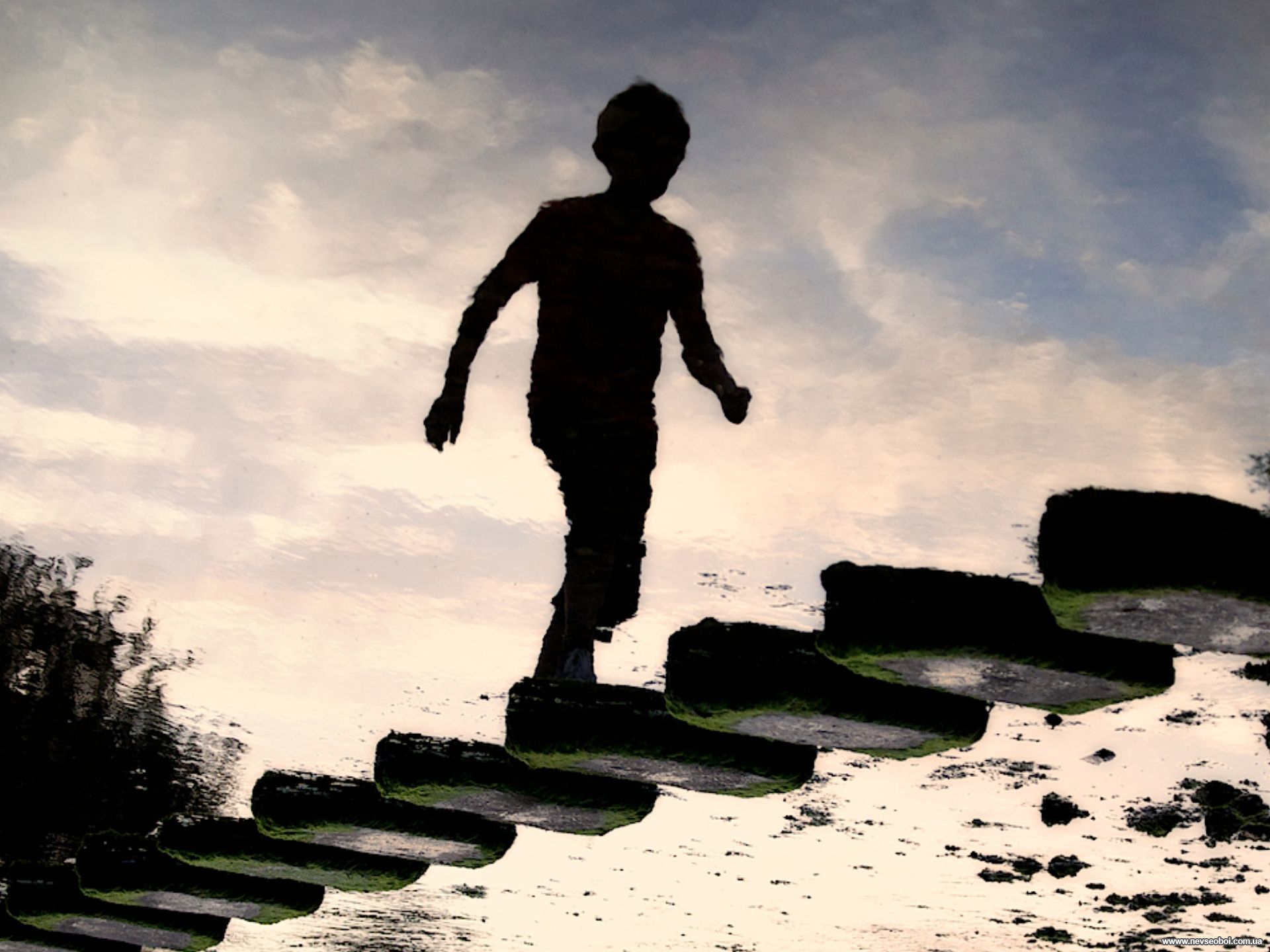 Experience and Authority