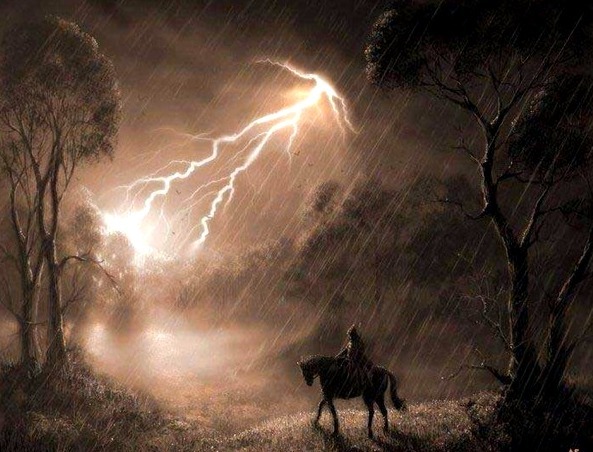 Experience and Authority