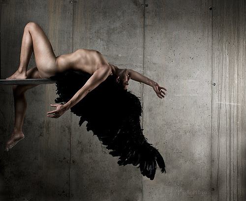 Mind and Its Bearers