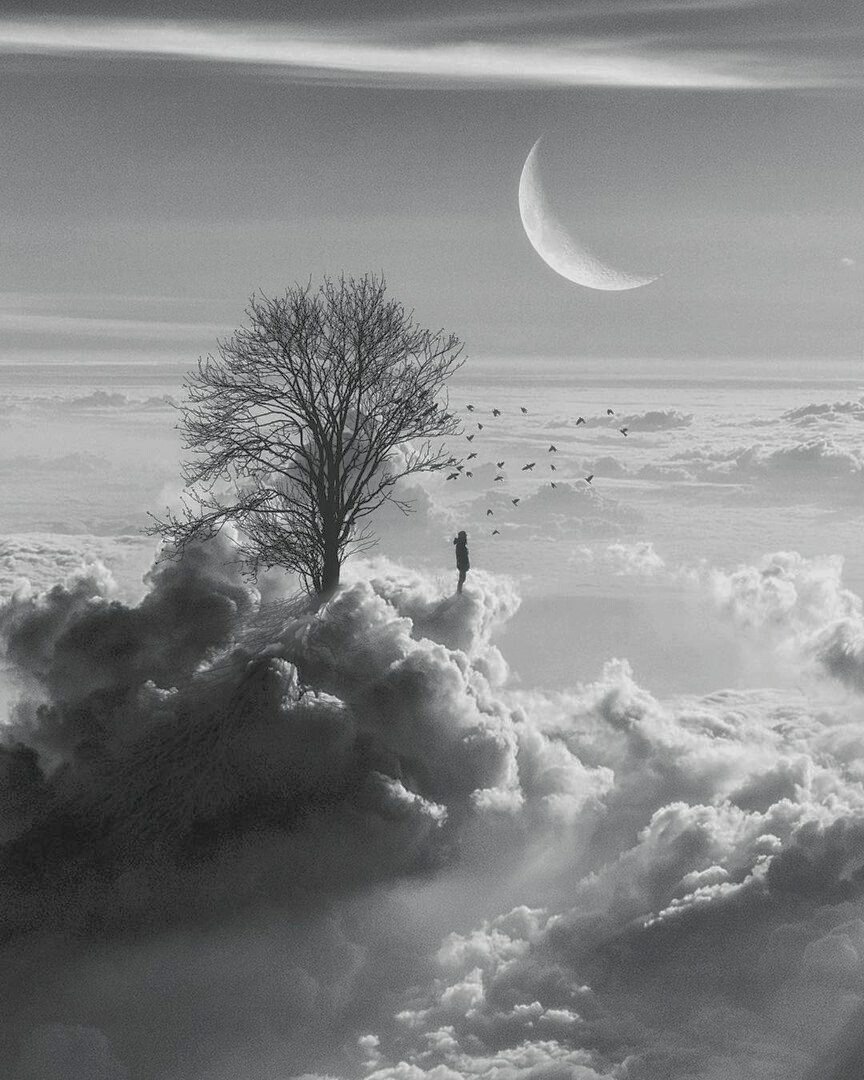 Manifested Individuality