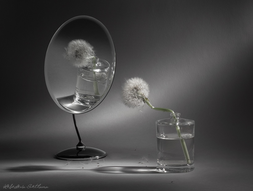 Acceptance and Rejection