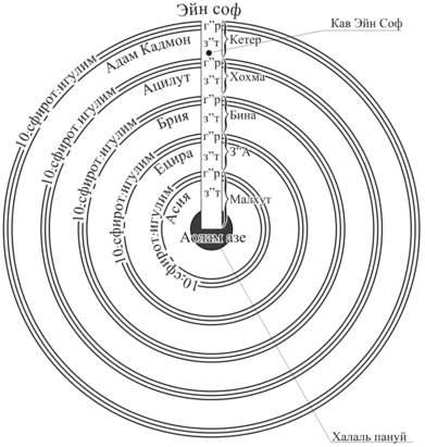 Structure of the Tree