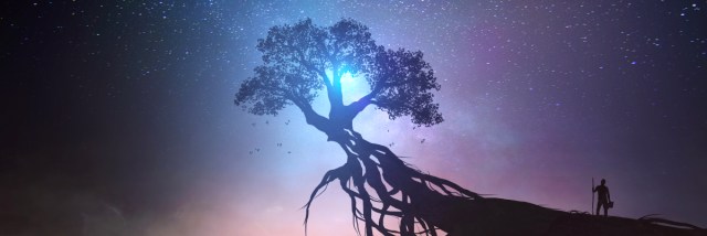 Strivings and Attractions