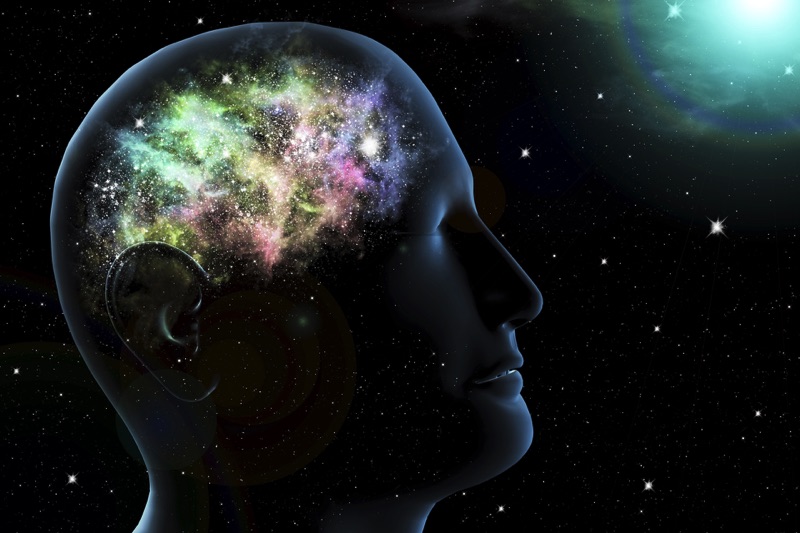 Activities of the Mind