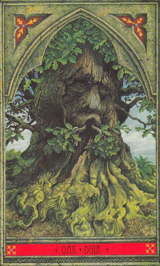 Ogham and Runes: Life and Mind