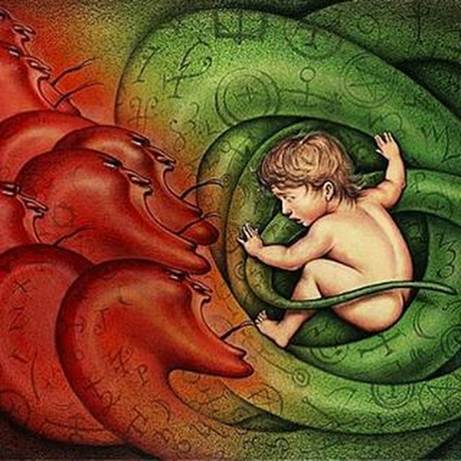 A Gaze from the Opposite Shore