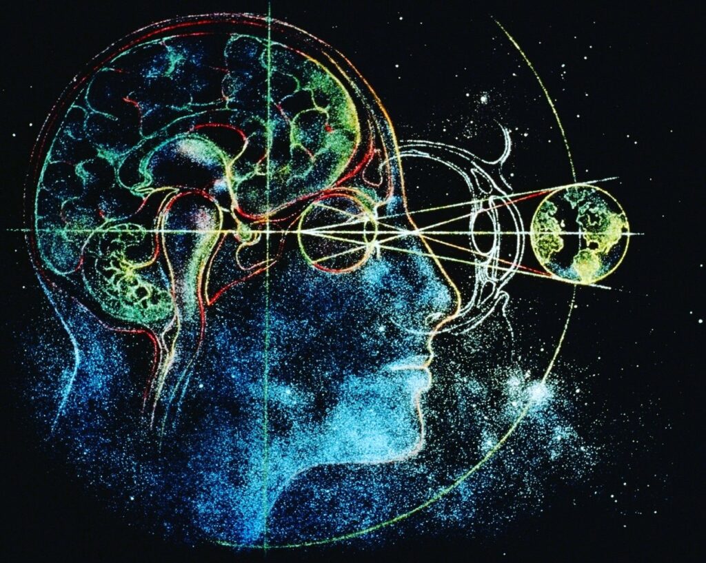 Contingency, Determinism, and Creativity