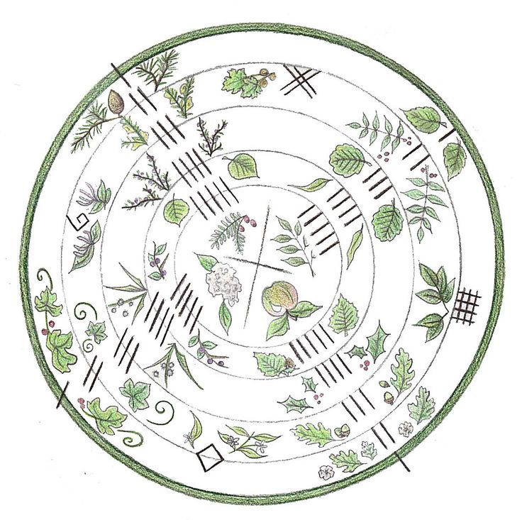 Ogham and the Flow of Life