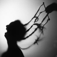 Predators Beyond the Veil