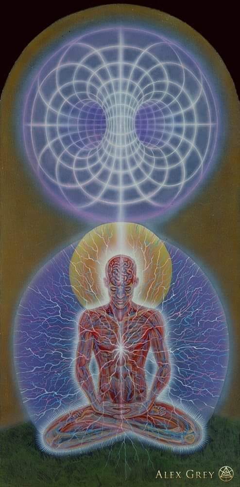 Predators of Life and Death