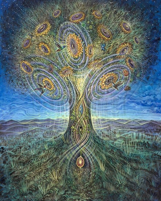 Quantum Entanglement and the Causal Plane