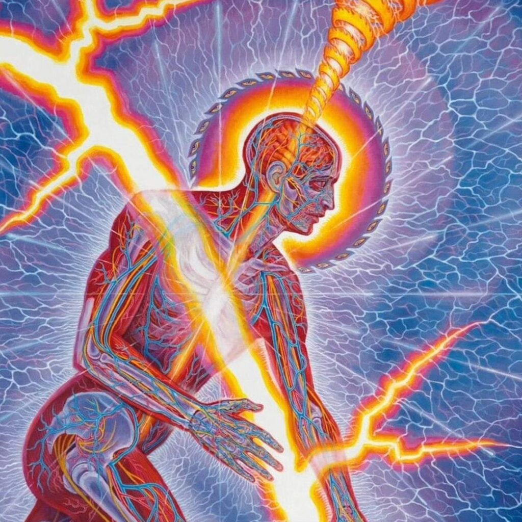 Imprints of the Mind