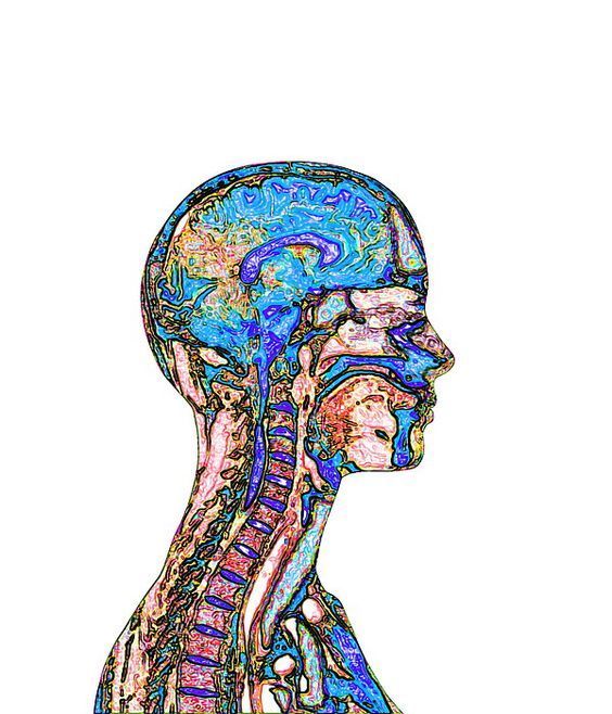 Mind Beyond the Brain