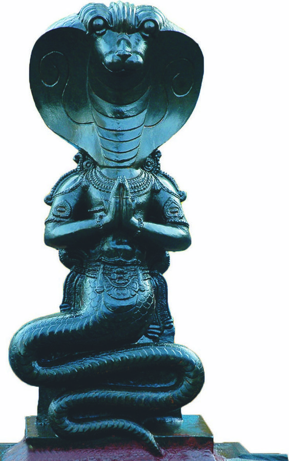 Nagas and the Depths of the Mind