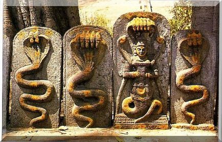 Nagas and the Depths of the Mind