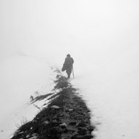 Way: System vs the Hunt