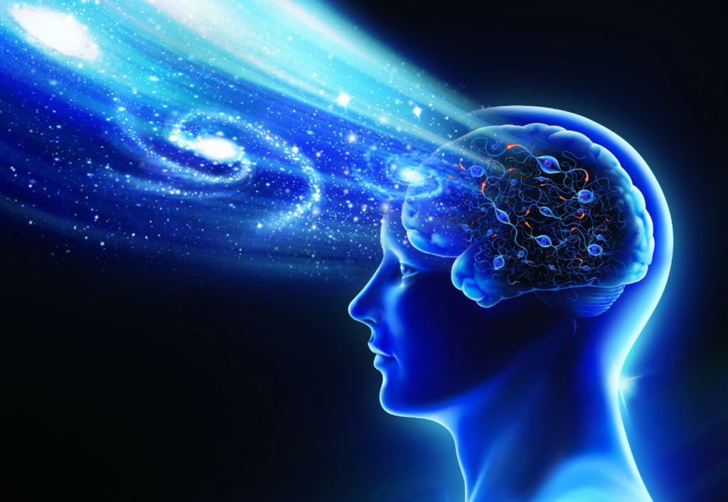 The Gaze from the Ark: The Universe of Meanings