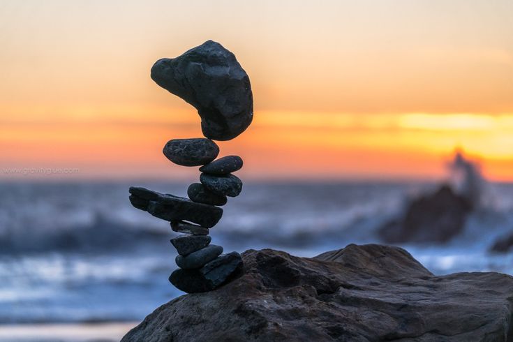 Elephants and Tortoises