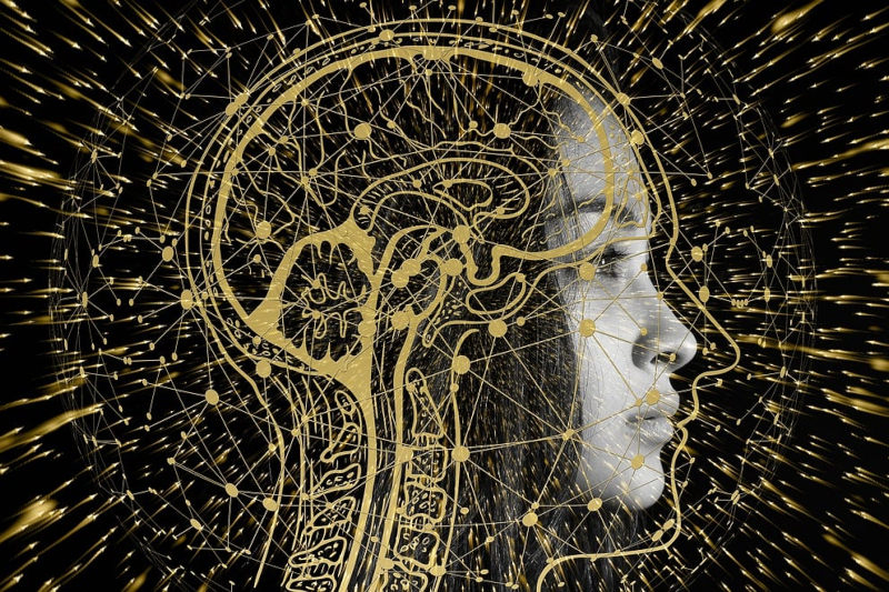 Elephants and Tortoises