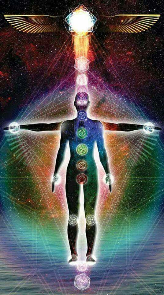 Energy and Its Consumers