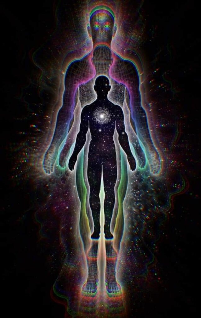 Energy and Its Consumers