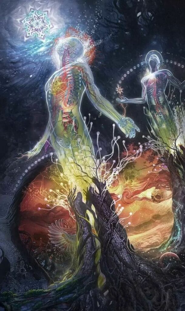 Energy and Its Consumers